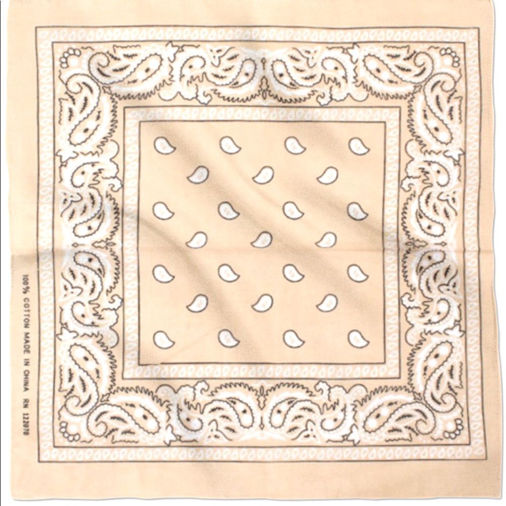 Classic Paisley Print Bandana / Face covering